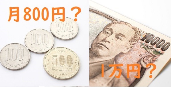お小遣いは月800円か、1年分1万円か。