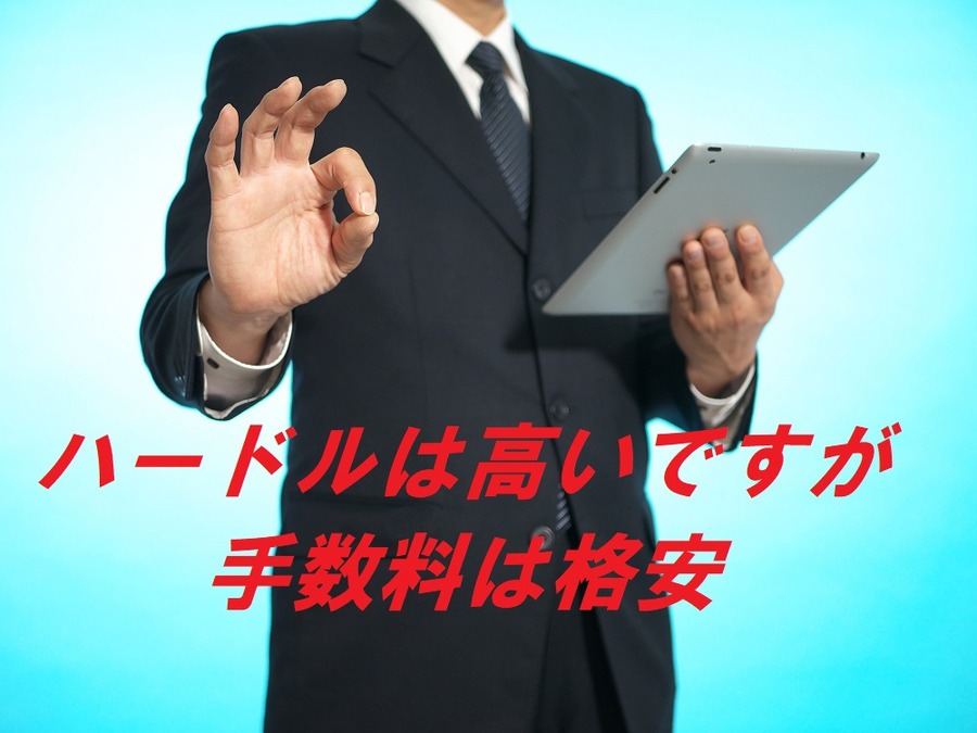 ハードルは高いが手数料は格安です