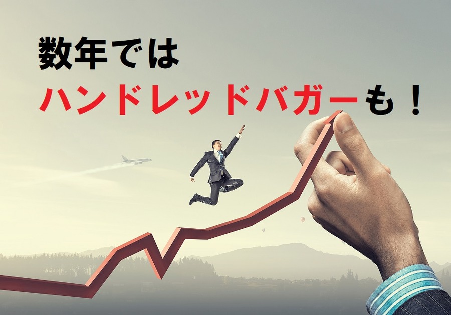 数年後にはハンドレッドバガーになるものも