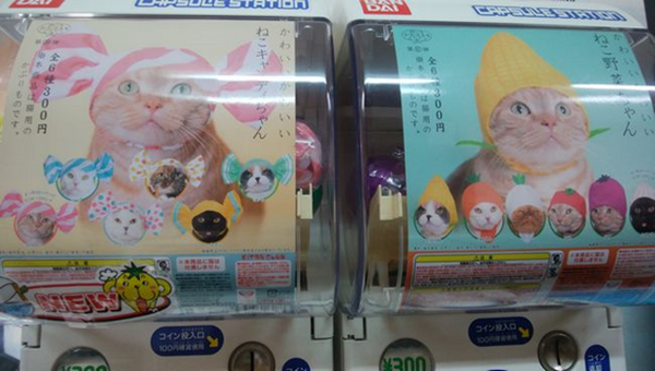 猫のかぶりものシリーズのガチャガチャ
