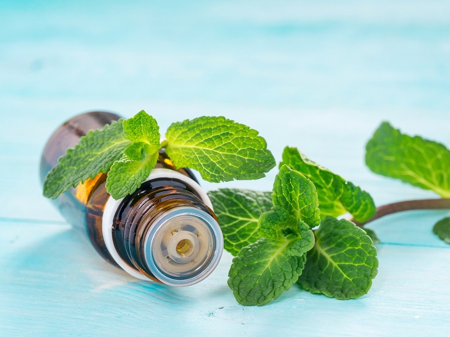 保冷剤にミントのオイルを入れるとさわやか