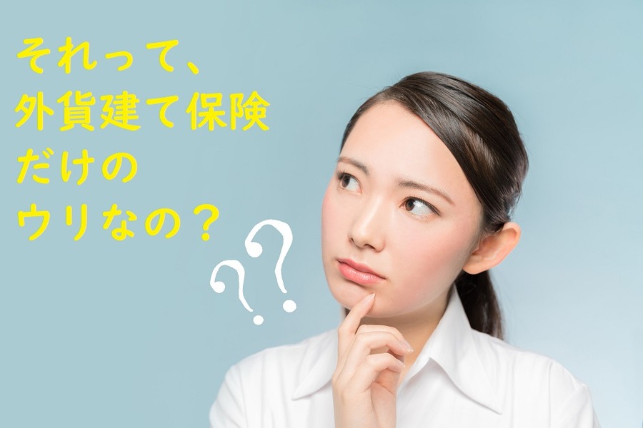 外貨建て保険だけのウリなの？