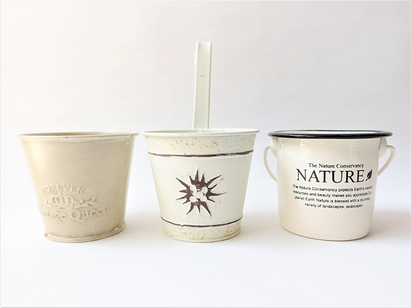 100均ダイソーの「観葉植物」は枯れにくく初心者でも育てやすい　「おしゃれなオススメ植物3つ」を紹介