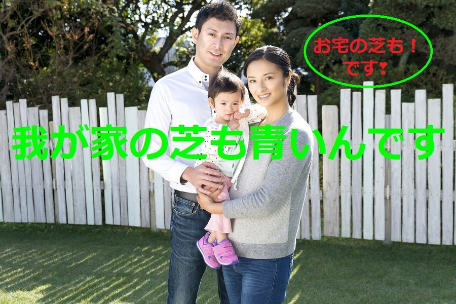 我が家の芝もお宅の芝も青いんです
