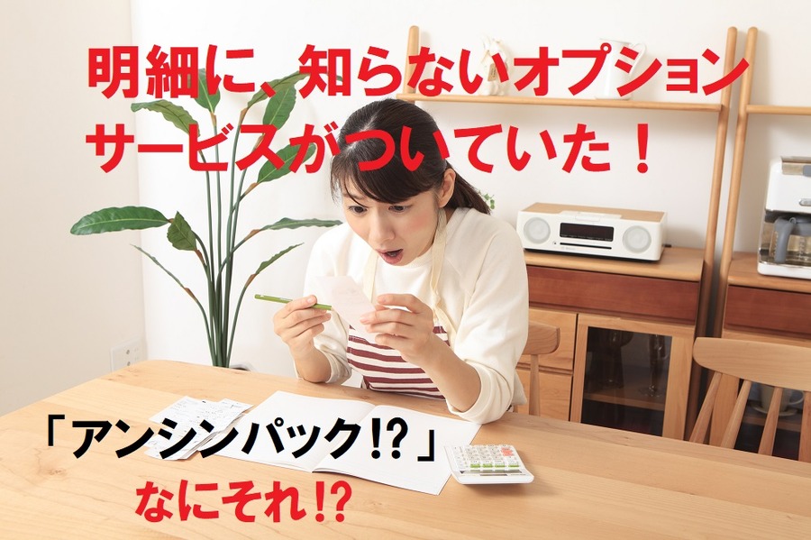 明細に知らないオプションがついていた