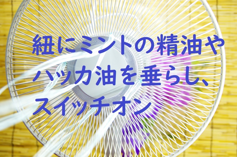 紐にオイルをたらして扇風機を回す