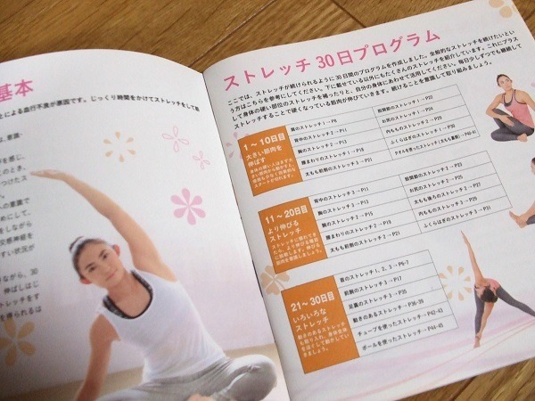 初心者向けの内容で30日プログラム