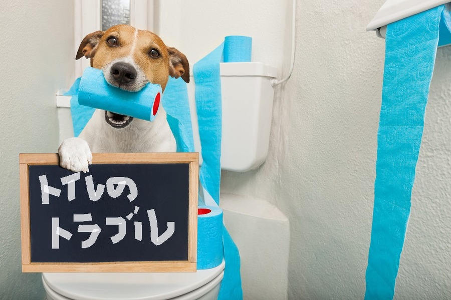 トイレのトラブル