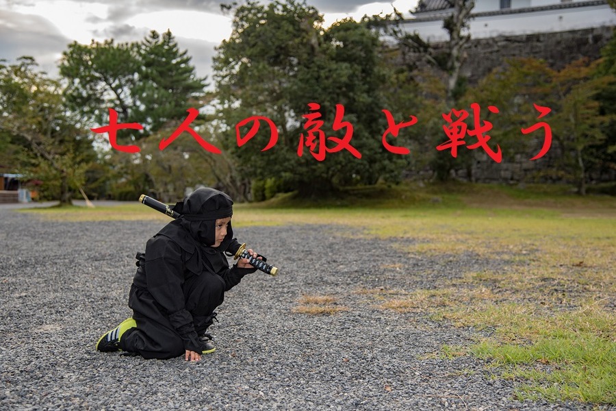 七人の敵と戦う