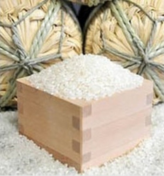 ［平成30年新米受付］茨城県河内町産コシヒカリ20kg