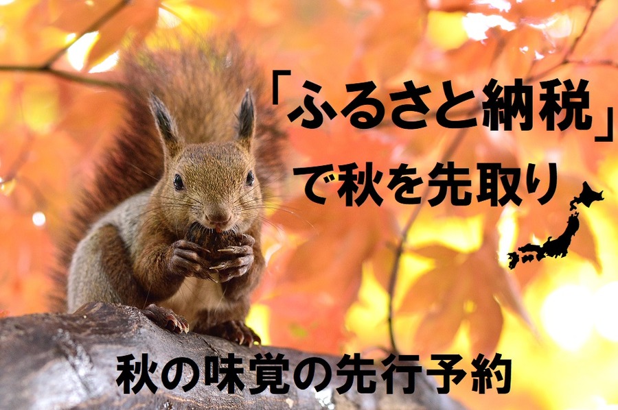 先行予約できるふるさと納税