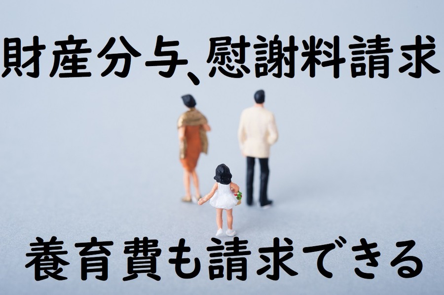 事実婚でも請求できる