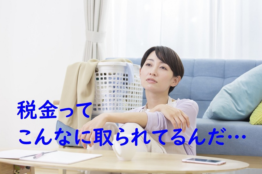 税金って結構取られています
