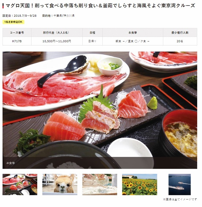 マグロ天国！削って食べる中落ち削り食い＆釜茹でしらすと海風そよぐ東京湾クルーズ