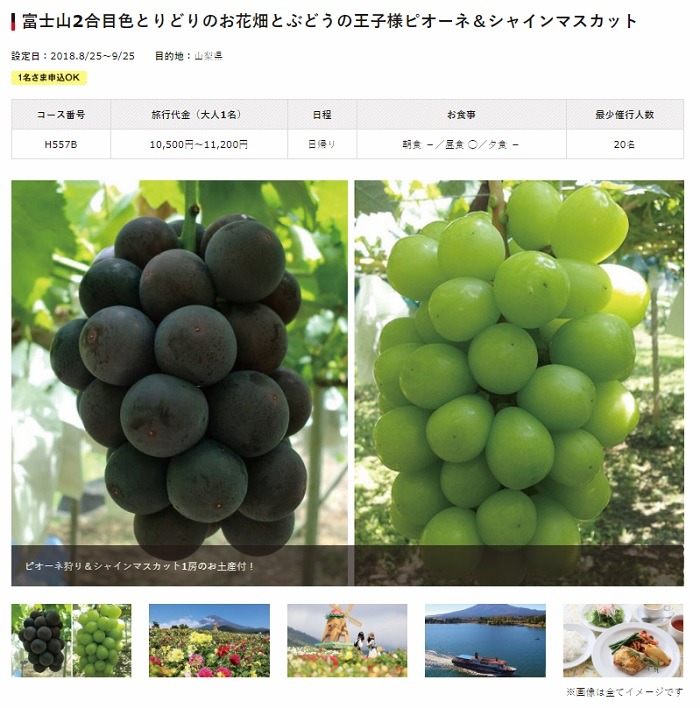 富士山2合目色とりどりのお花畑とぶどうの王子様ピオーネ＆シャインマスカット