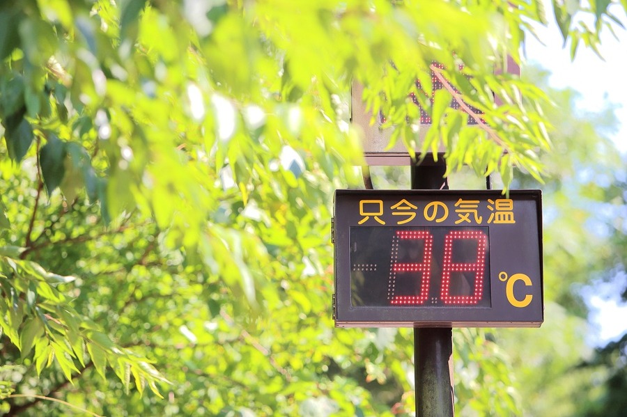 猛暑が続く