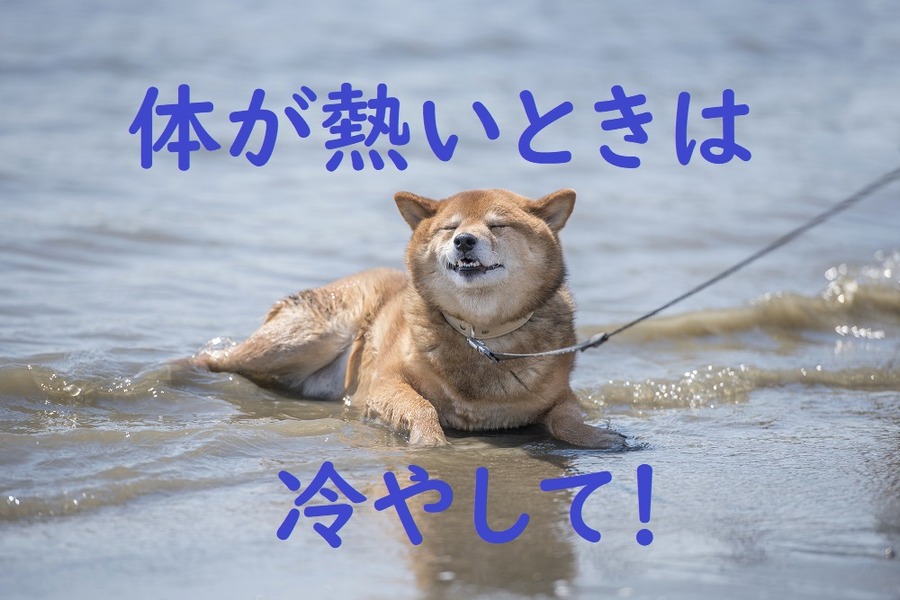 体が熱いときは冷やすこと