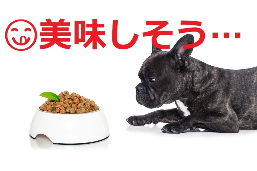 見た目のエサがやたらとおいしそう