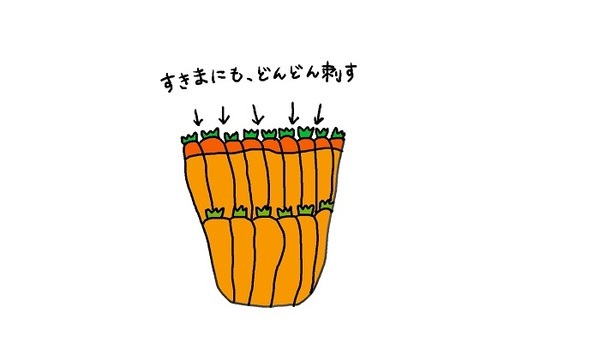 食費に大きな差が出る！　スーパーで「できるだけ安く」買い物する6つのワザをご紹介