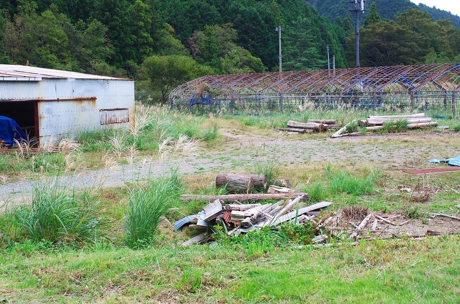 農地の場合は、固定資産税も少ないためだれも動かない