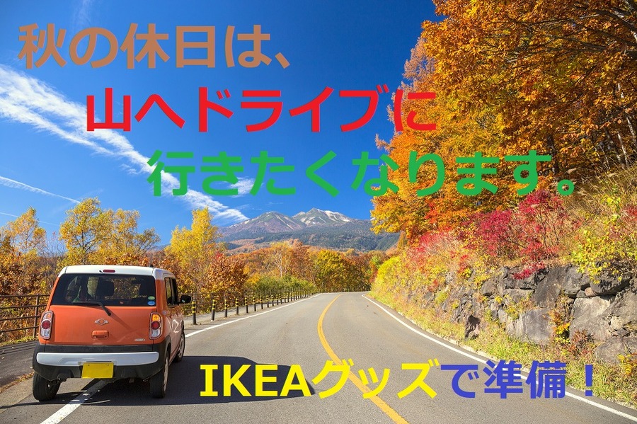 秋の休日はドライブに行きたくなりますね