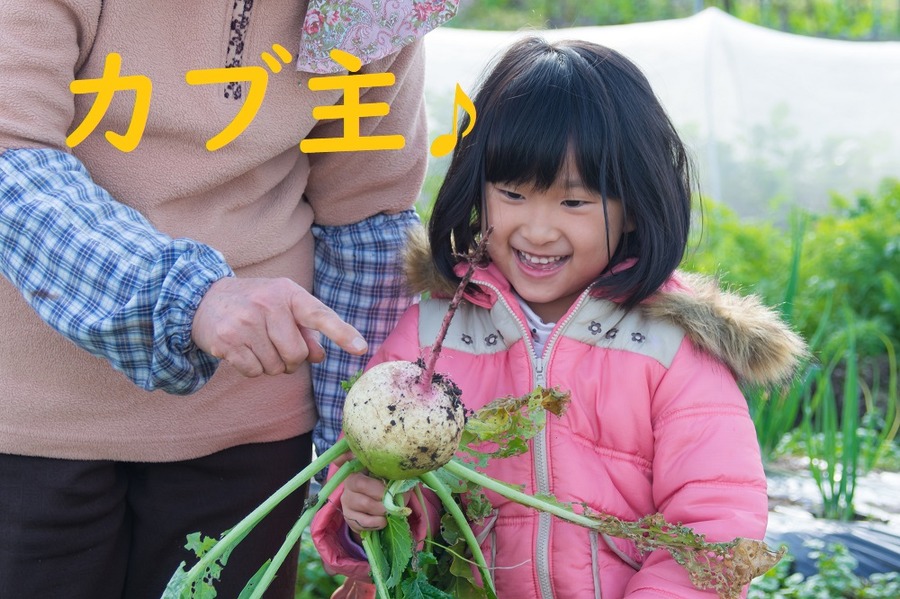 株主になろう
