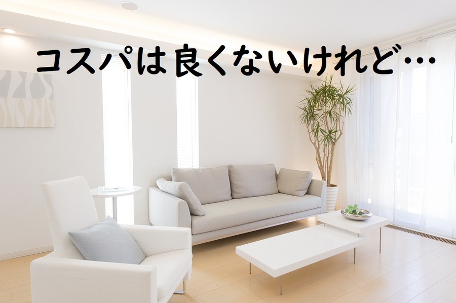 コスパは良くないけれど