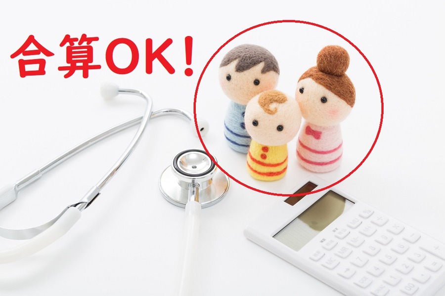 自己負担額は世帯で合算する