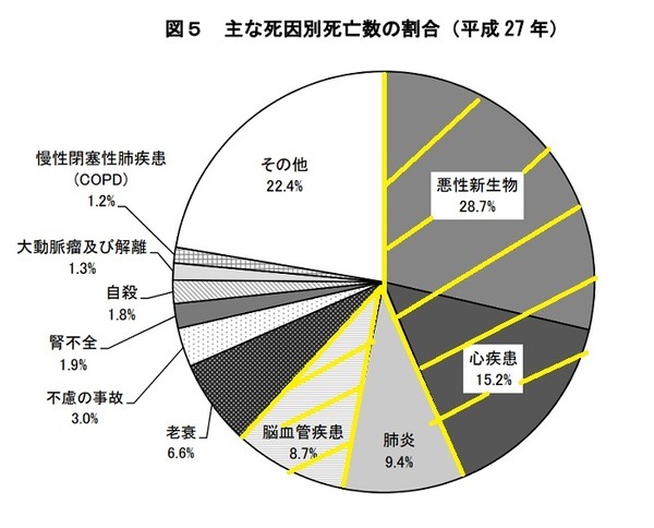 主な死因別死亡数の割合