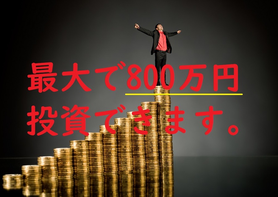 年間40万円、最長20年間、最大で800万円投資できる