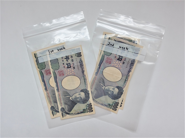 ダイソーで買える「お金の管理グッズ」　年末年始の臨時支出を支える商品4つをご紹介します。