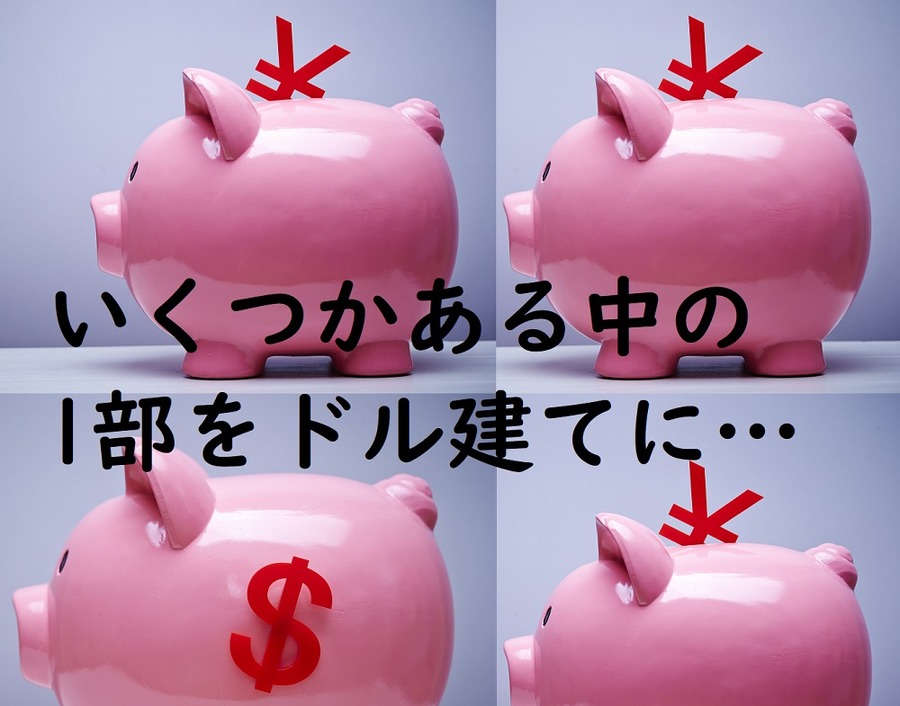 一部をドル建てにする