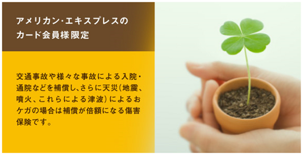 天災によるケガなどへの備えは「傷害保険」でカバーしよう　アメックスが窓口になっている「天災ダブル・ガード」のメリット・デメリット