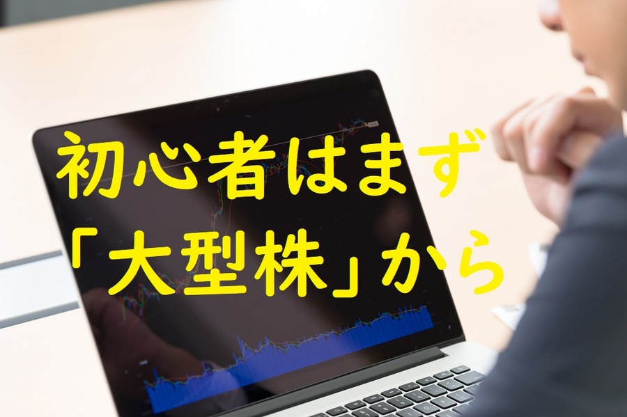 初心者はまず大型株から