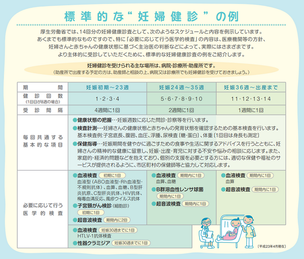 標準的な妊婦検診の例
