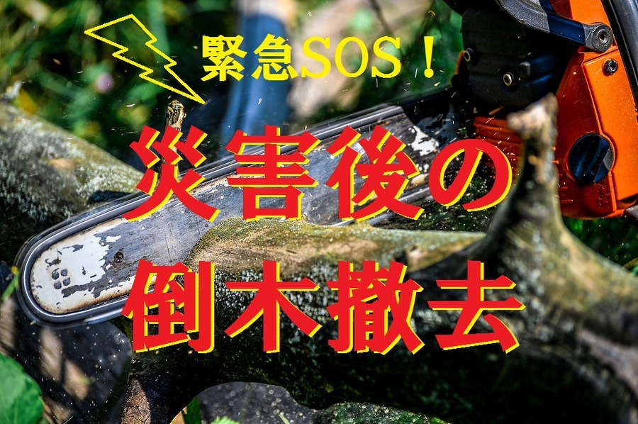 庭木の倒木撤去費用