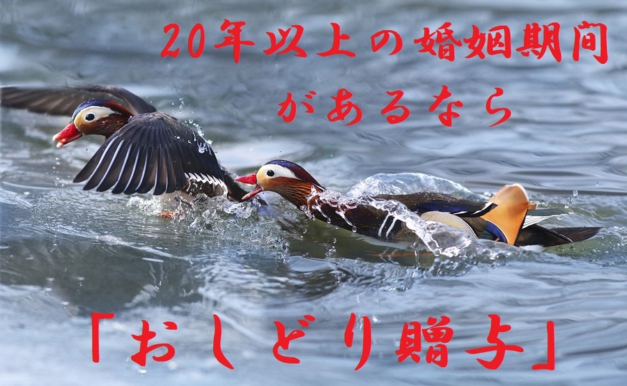 おしどり贈与