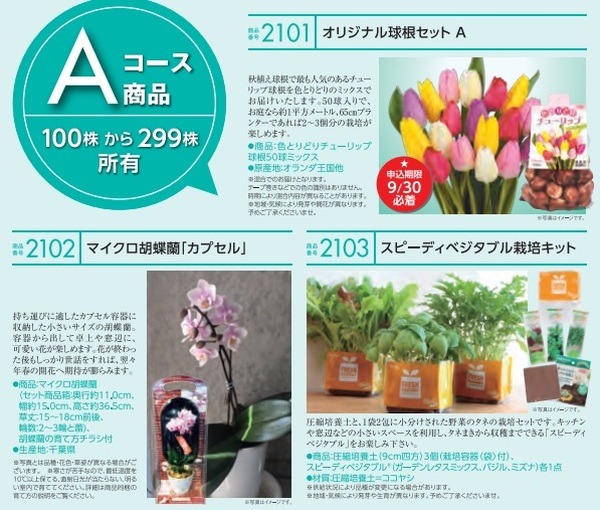保有株数に応じたカタログギフトの商品<