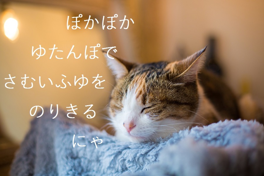 湯たんぽであったか