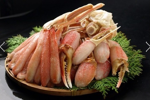 〈千葉県長生村〉生本ズワイガニしゃぶしゃぶ1.3kg
