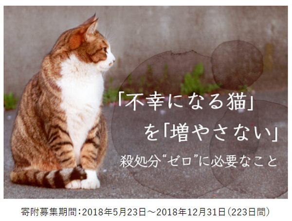 ガバメントクラウドファンディング和歌山市