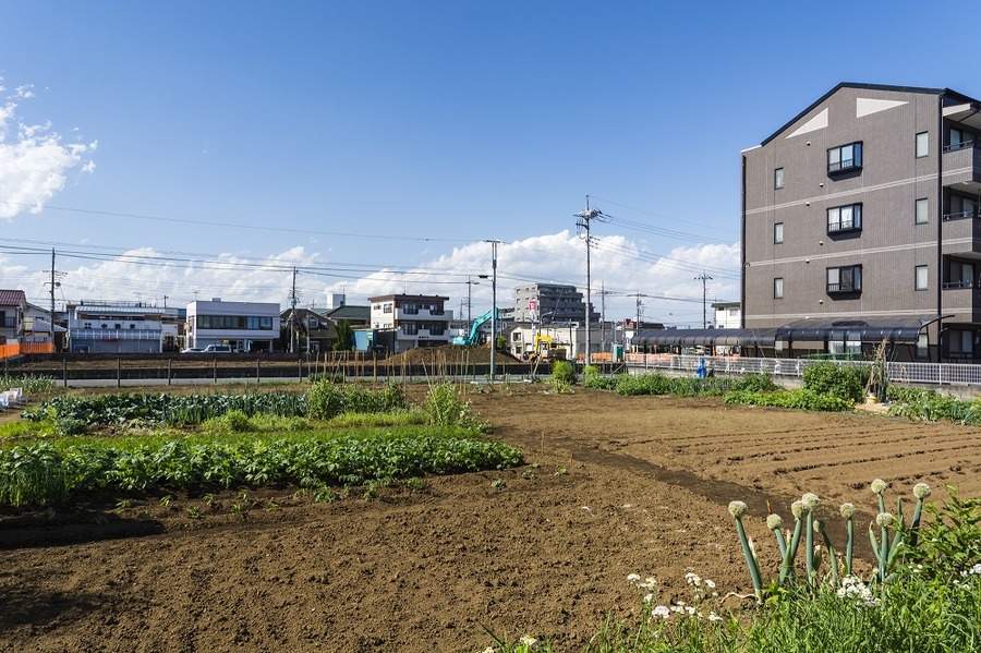 生産緑地問題