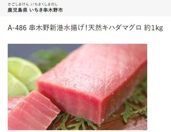ふるさとチョイス天然キハダマグロ