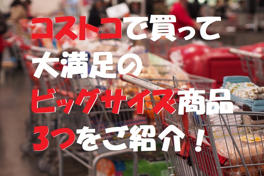 コストコのビッグサイズ商品