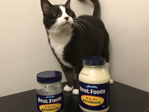 「コストコのビッグサイズ食品」は、買って食べて大満足！　筆者おすすめの商品3選をご紹介します。