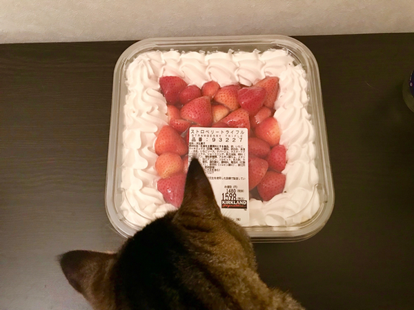 「コストコのビッグサイズ食品」は、買って食べて大満足！　筆者おすすめの商品3選をご紹介します。