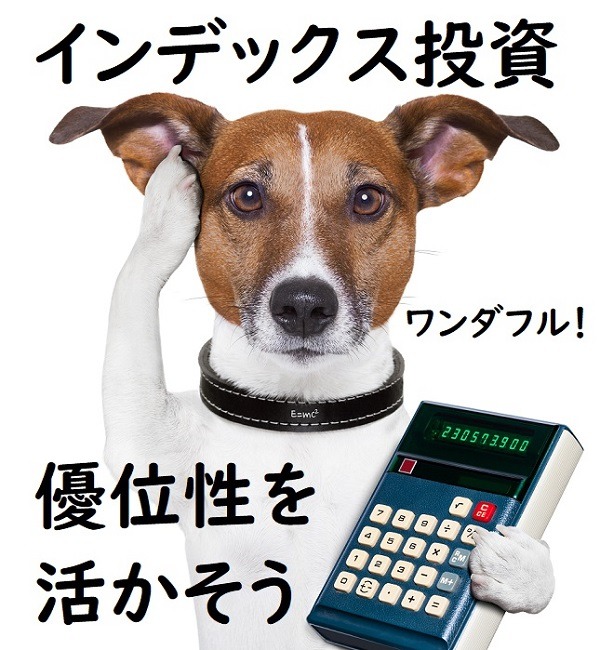 インデックス投資を活かそう