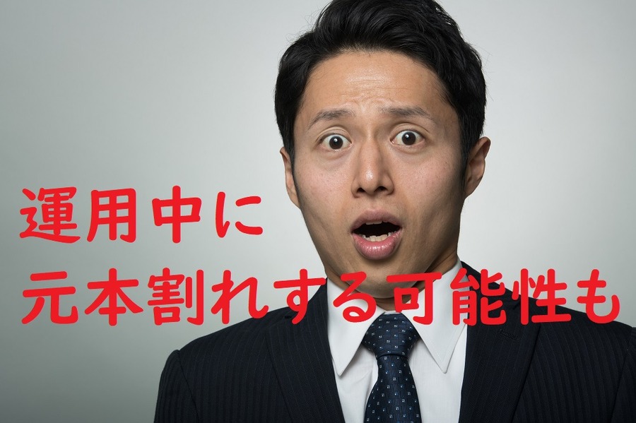 運用中に元本割れする可能性も