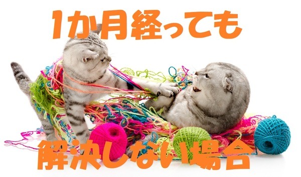 1か月経っても解決しない場合