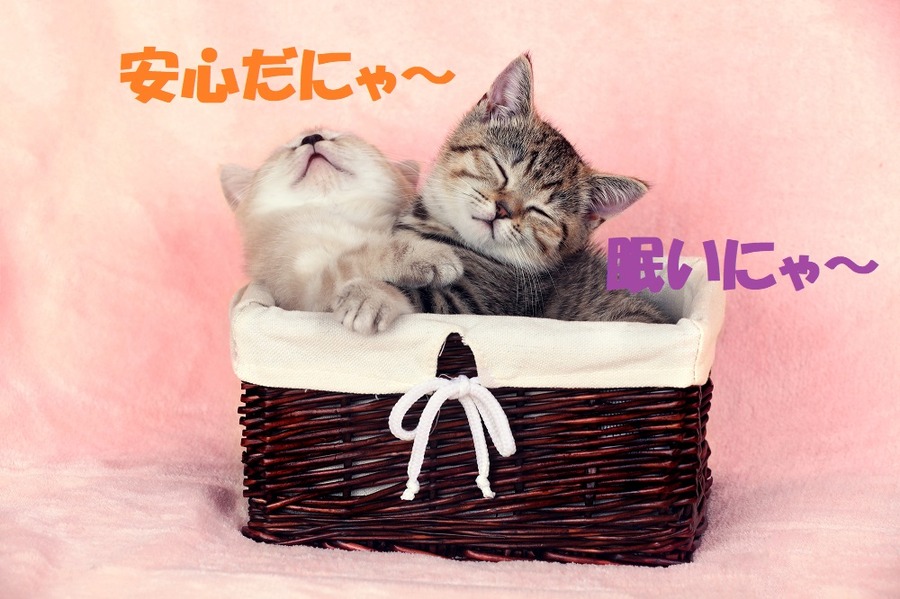 相談の仕方を知っておこう
